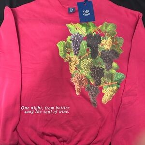 NWT Flan Pink Grape Sweatshirt
